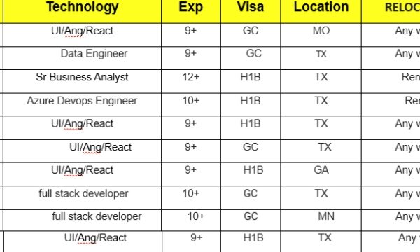 Sr Business Analyst Jobs Hotlist, Data Engineer, full stack developer, UI-Quick-hire-now